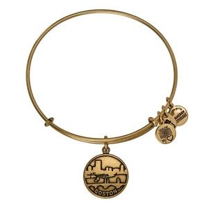 Alex & Ani Boston skyline bracelet